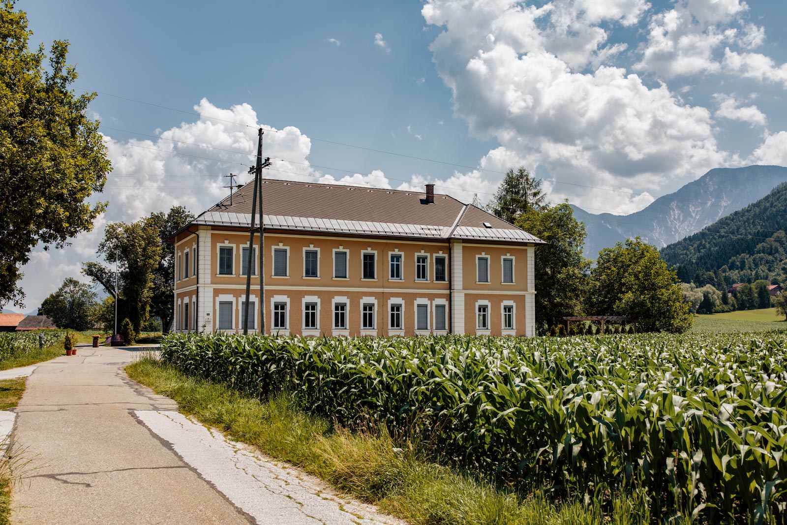 hochzeit alte schule