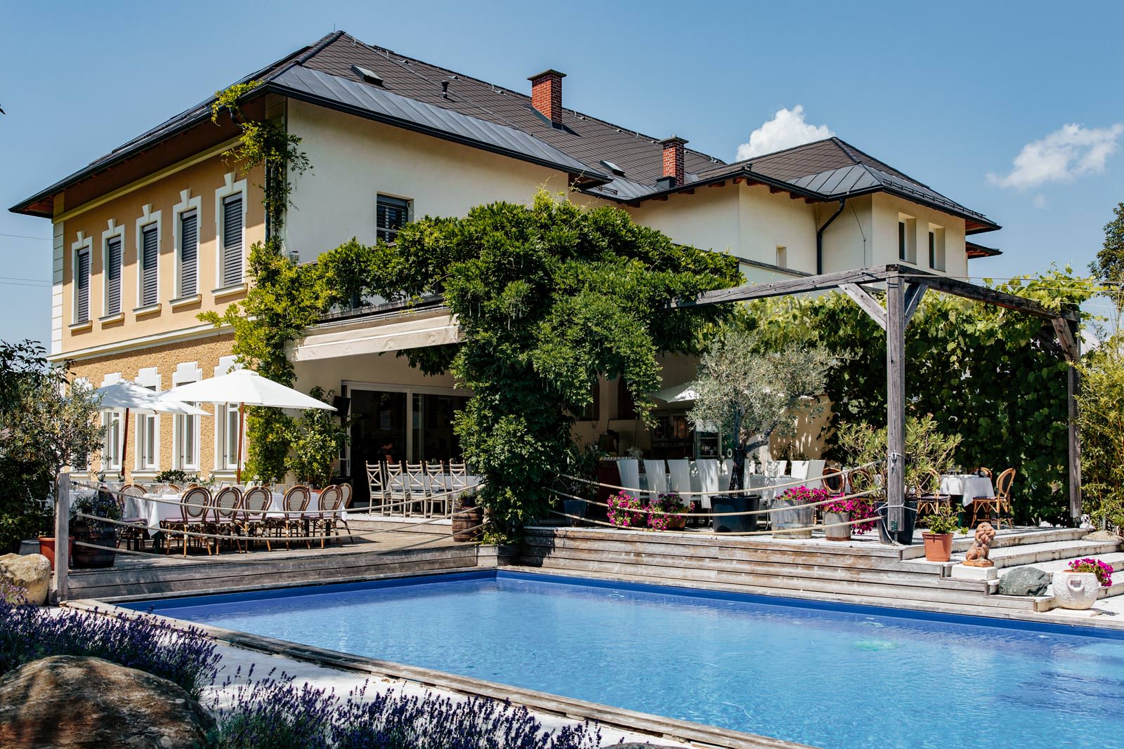 hochzeit alte schule-pool